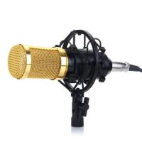 Attached Image: bm mic.jpg