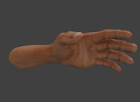 Attached Image: hand3.jpg