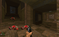 Attached Image: Screenshot_Doom_20140420_164507.png