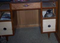 Attached Image: cat in a desk.jpg
