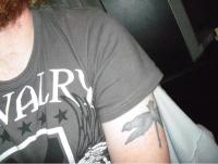 Attached Image: dragonfly.jpg