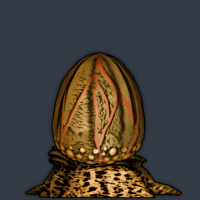 Attached Image: Egg01.GIF
