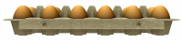 Attached Image: eggboxrender1.png