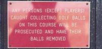 Attached Image: balls.jpg