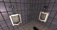 Attached Image: urinals.jpg