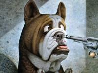 Attached Image: Funny-Dog.jpg