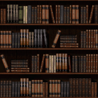 Attached Image: bookshelf8bit.png