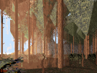 Attached Image: forest10.png