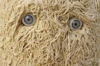 Attached Image: creepypasta.jpg