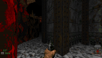 Attached Image: Screenshot_Doom_20190811_135737.png