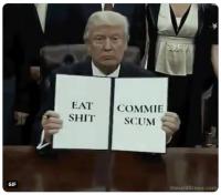 Attached Image: Trump08.jpg