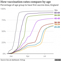 Attached Image: _120078531_optimised-uk_vax_by_age_19aug-nc2.png