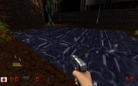 Attached Image: duke0001.jpg