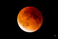 Attached Image: bloodmoon.jpg