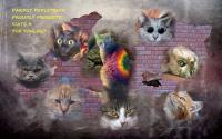 Attached Image: concretecatz.jpg