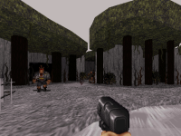 Attached Image: duke0045.png