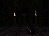 Attached Image: duke0020.png